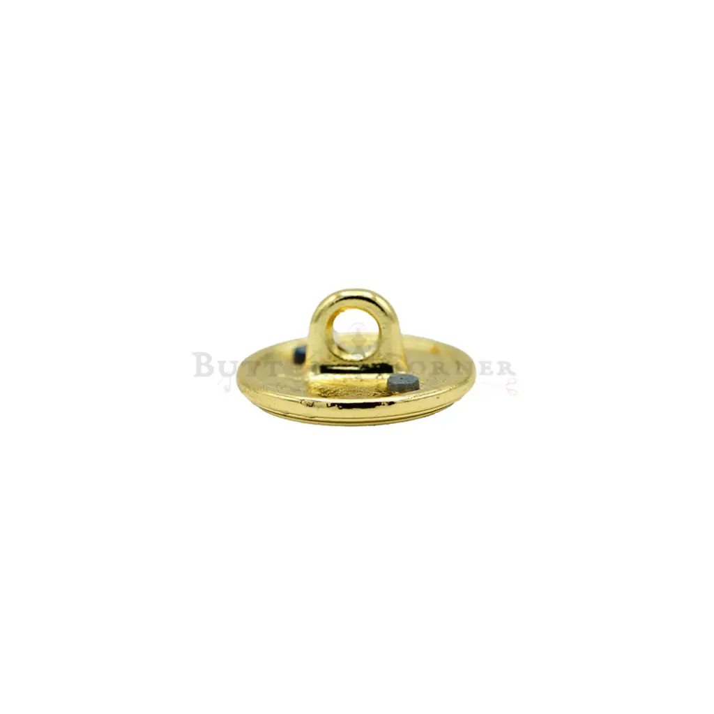 F10840 NY BLUE LGT GOLD (2).webp
