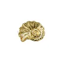 F80090-47 GOLD (4).webp