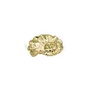 F80090-47 GOLD (7).webp
