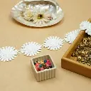16426-8 WHITE (3).webp