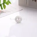 ZGYY 14L WHITE (1).webp