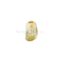 J0813-1 CREAM (2).webp