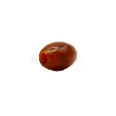 J0813-4 BROWN (4).webp