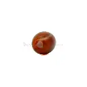 J0813-4 BROWN (3).webp