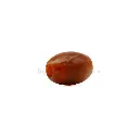 J0813-4 BROWN (5).webp