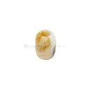 J0813-5 CREAM (3).webp