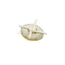 SG-3-7 OFF WHITE.webp
