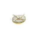 SG-3-9 OFF WHITE.webp