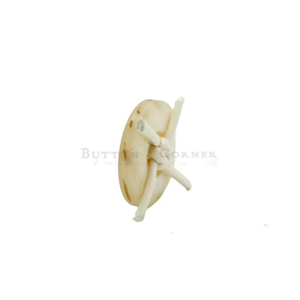 SG-3-6 OFF WHITE.webp