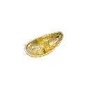 62280-8 LIGHT GOLD8.webp