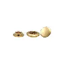 301A GOLD (3).webp