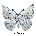10343 Butterfly Center Stone Brooch White Silver.webp