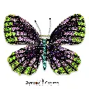 8897 Butterfly & Diamond Brooch Green Light Pink Pink.webp