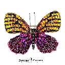 8897 Butterfly & Diamond Brooch Yellow Orange Pink.webp