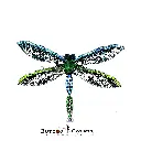 9486 Dragonfly Brooch Emeraid Green.webp