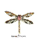 9486 Dragonfly Brooch Champagne.webp