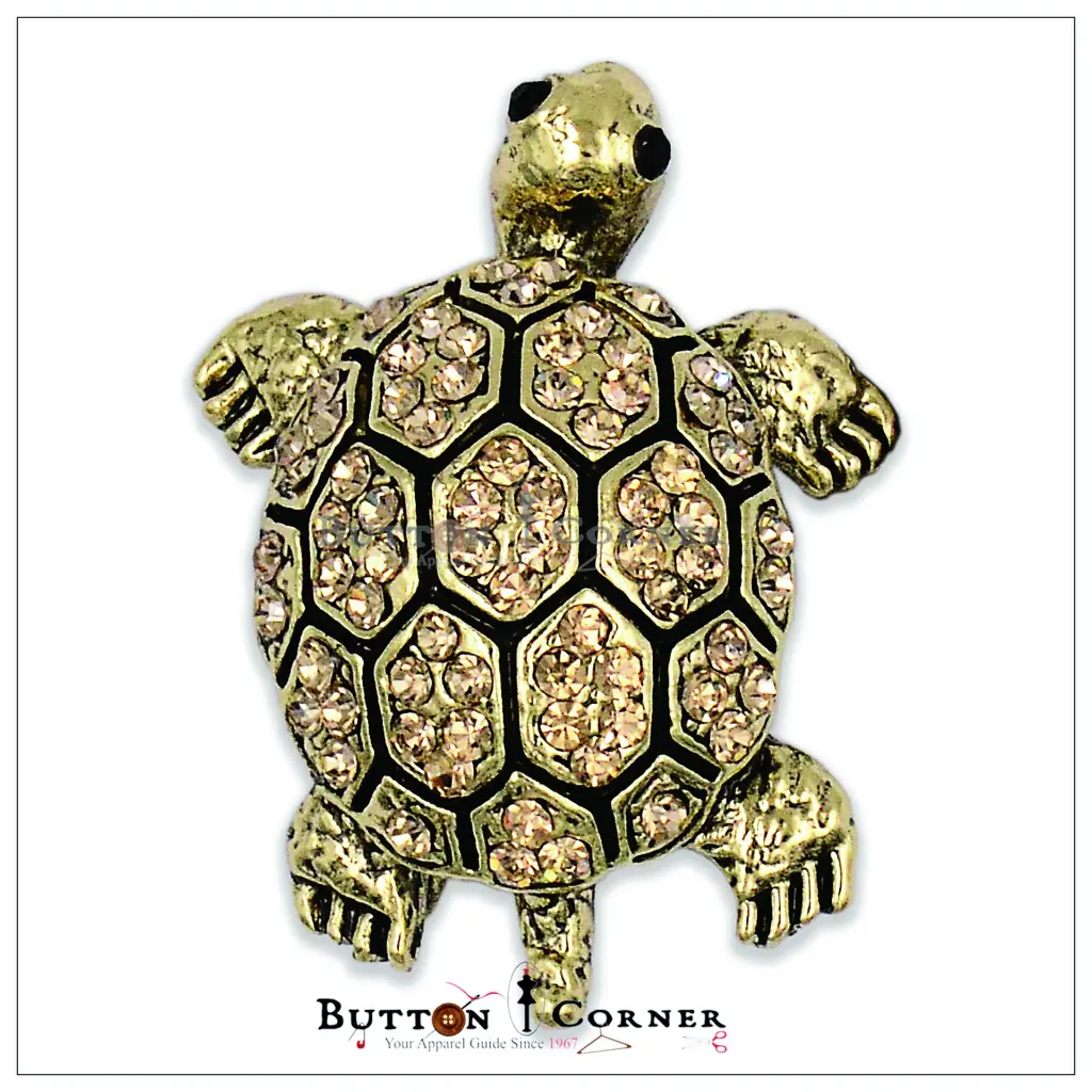 2422 Turtle Brooch Champangne.webp