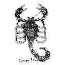 6529 Scorpion Brooch Silver.webp