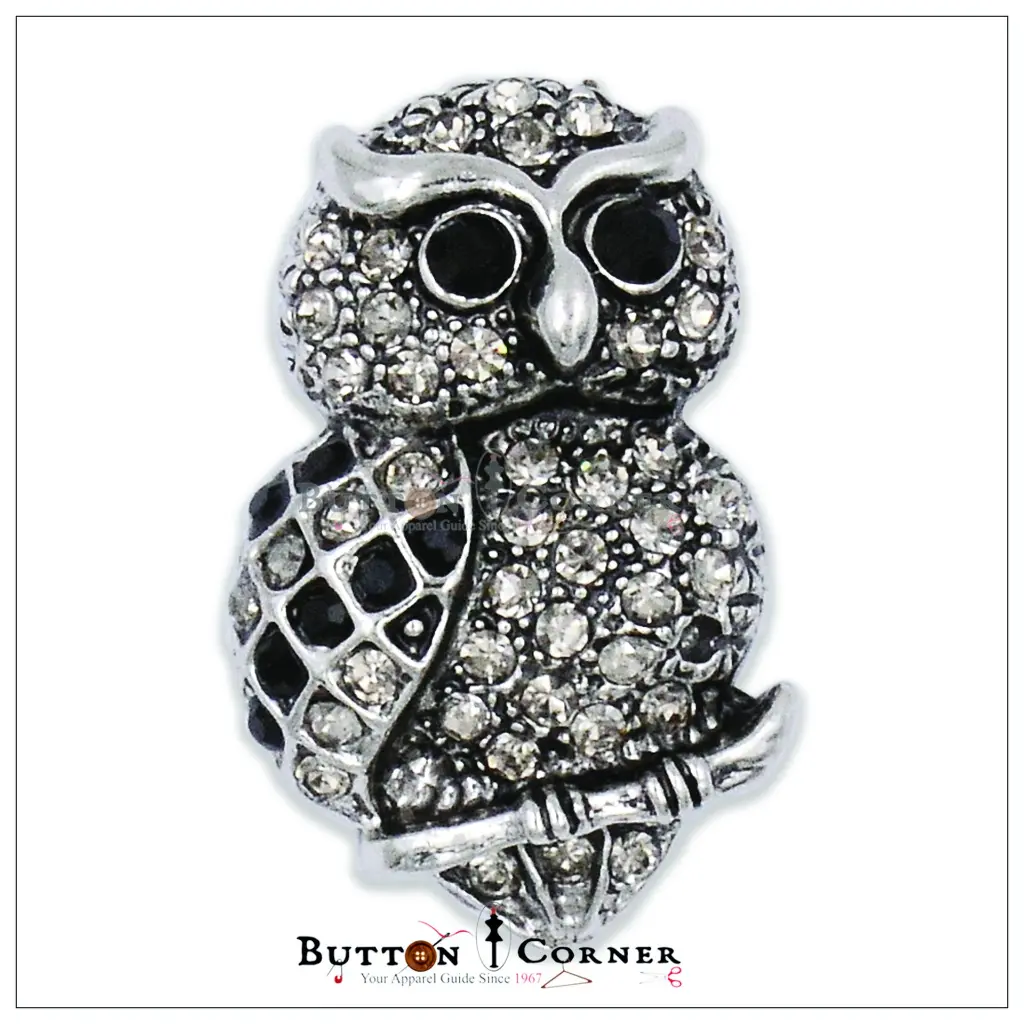 2229 Owl With Diamonds Brooch Silver.webp