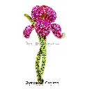 9991 Orchid Flower Diamonds Pink .webp