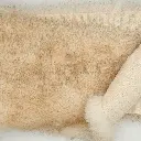 FURR 2500-2 OFF WHT BEIGE.webp