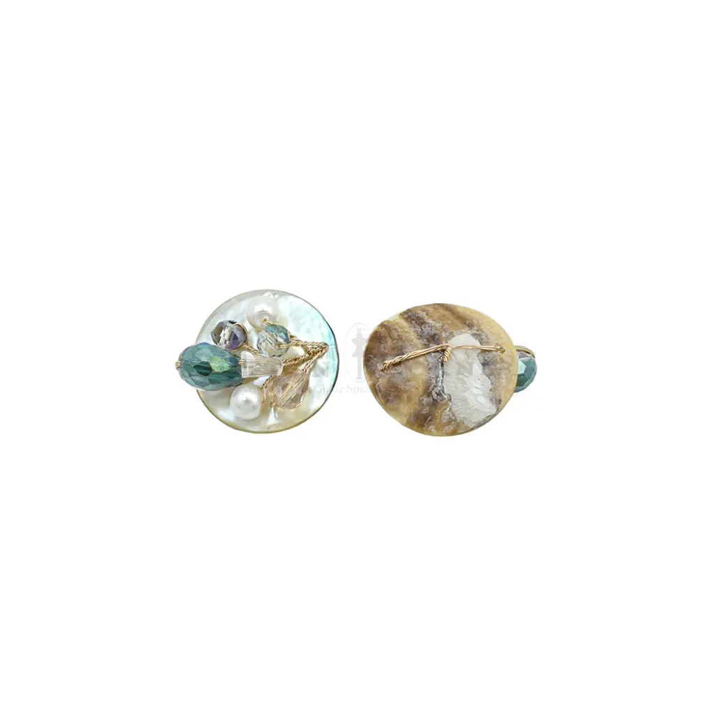 FBR2SH419-1.webp