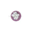 FBPQK417 PURPLE.webp