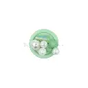 FBPQK416 MINT.webp