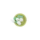FBPQK416 GREEN.webp