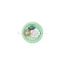 FBPQK418 MINT.webp