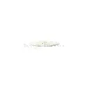 PTB03 55mm-1 Off White.webp