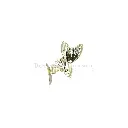 FA753-1 LIGHT GOLD.webp