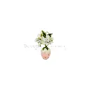 FA773 PINK.webp