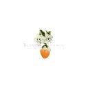 FA773 ORANGE.webp