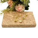 GF1009.webp