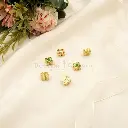 GF1009-2.webp