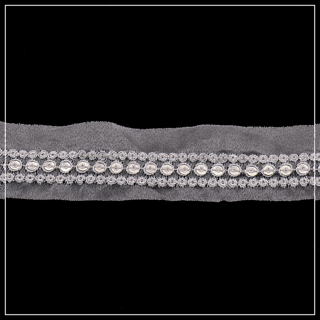 Fancy Net Sequence Lace