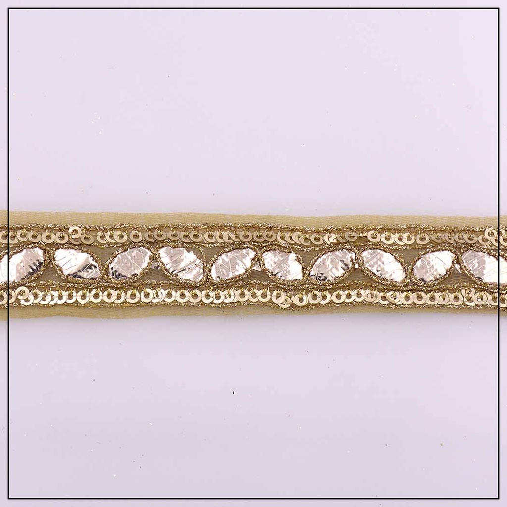 Fancy Gota Sequence Lace