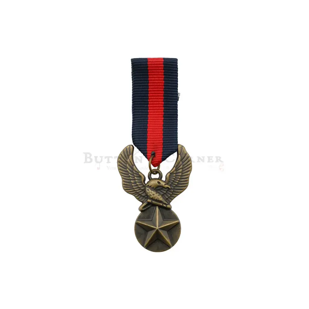 US AIR Force Star Eagle Wing Brooch