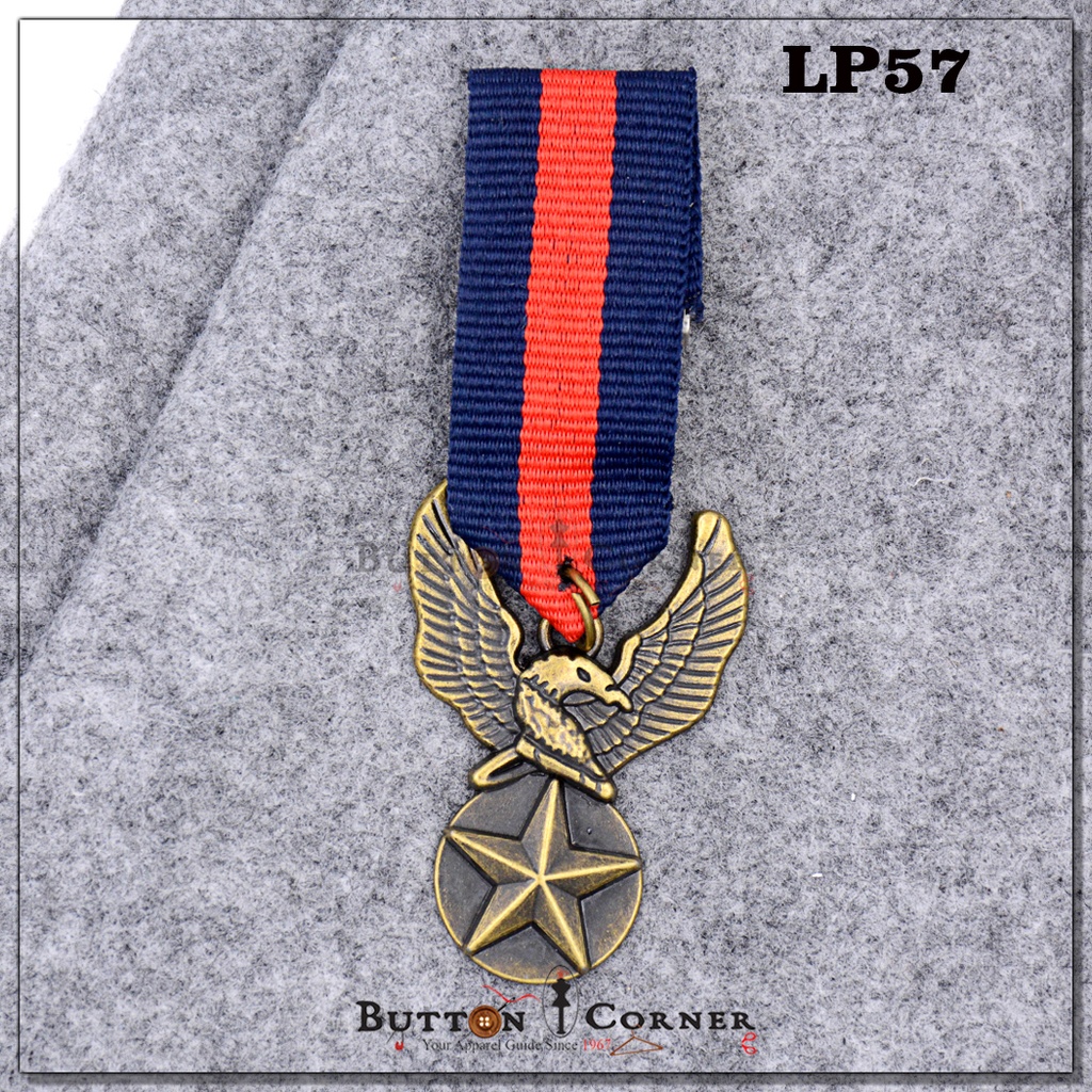 US AIR Force Star Eagle Wing Brooch