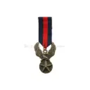 US AIR Force Star Eagle Wing Brooch