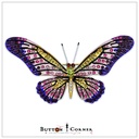 African Butterfly Diamonds Brooch