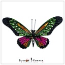 African Butterfly with Diamonds Brooch