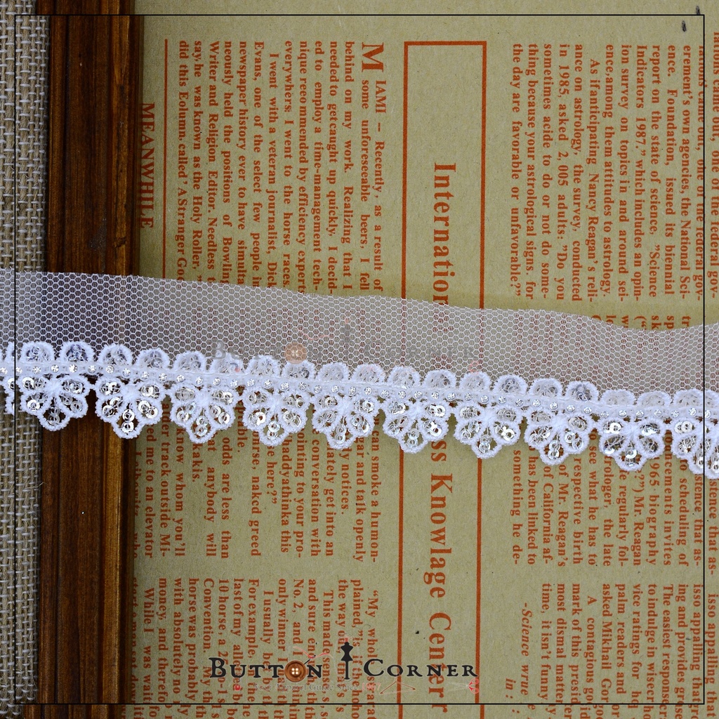 Fancy Sequence Lace