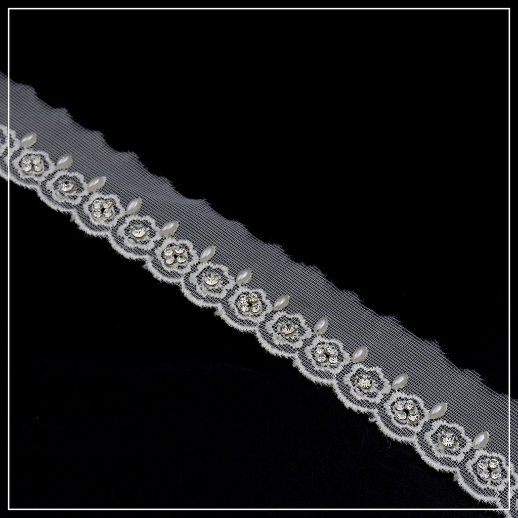 Fancy Glass Beads & Stone Net Lace