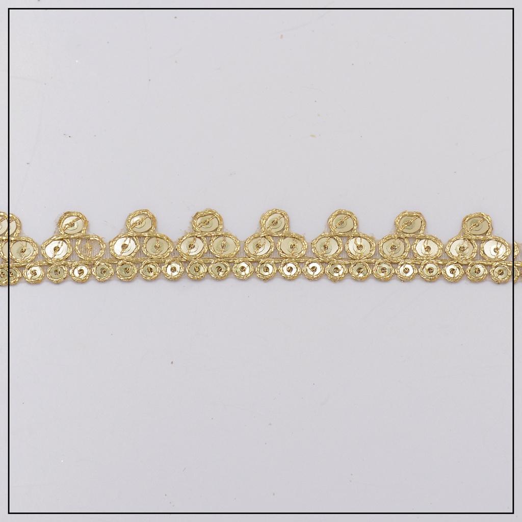 Fancy Sequence Gota Lace