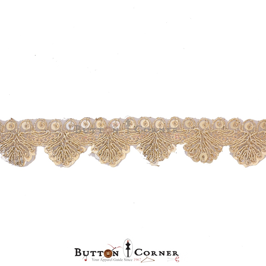 Fancy Sequence Gota Lace