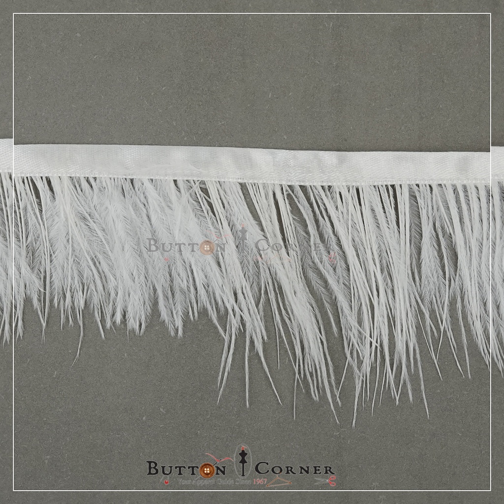 Ostrich Feather Lace