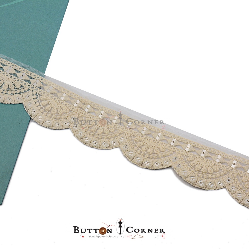 Fancy Sequence Embroidery Net Lace