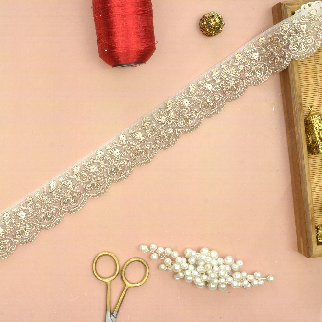 Fancy Sequence Gota Lace